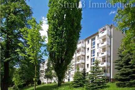 Wohnung zum Mieten in Chemnitz 330 € 60 m² 3 zimmer