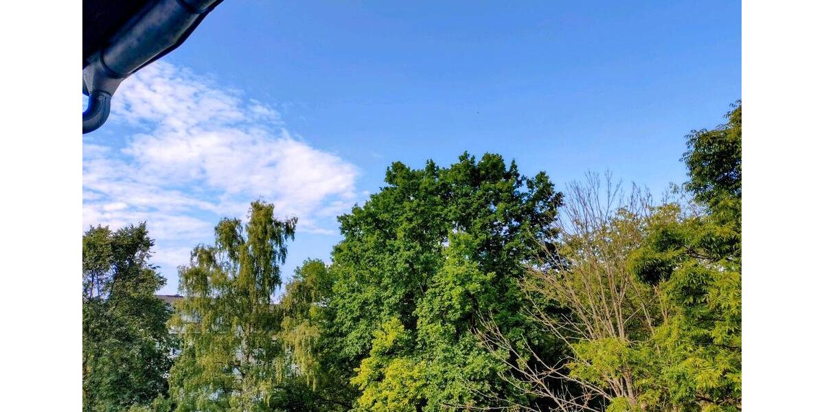 Etagenwohnung Chemnitz Altendorf - 2 Zimmer, 71 m&sup2;, 99.000&euro; | Angebot:27298156