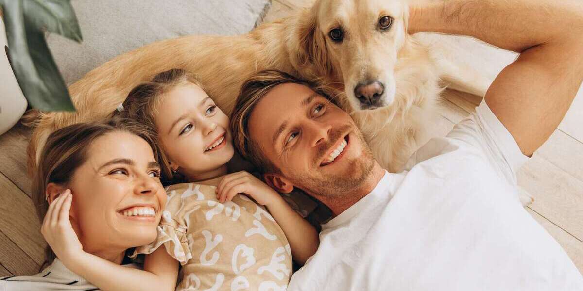 Haus zum Kaufen in Chemnitz 418.500 € 147.64 m² - Einfamilienhaus Chemnitz Wittgensdorf | Angebot:25805083