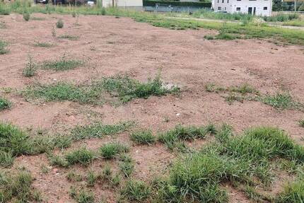 Bauland in Flöha zimmer