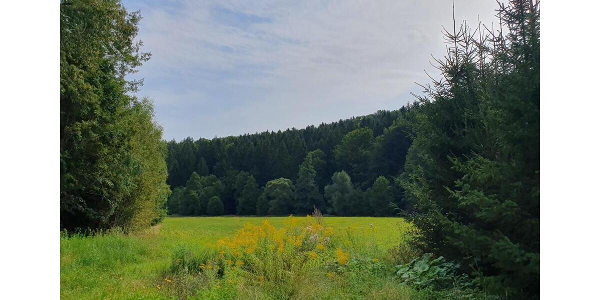 Doppelhaushälfte Thermalbad Wiesenbad - 6 Zimmer, 94 m&sup2;, 750&euro; | Angebot:23051767