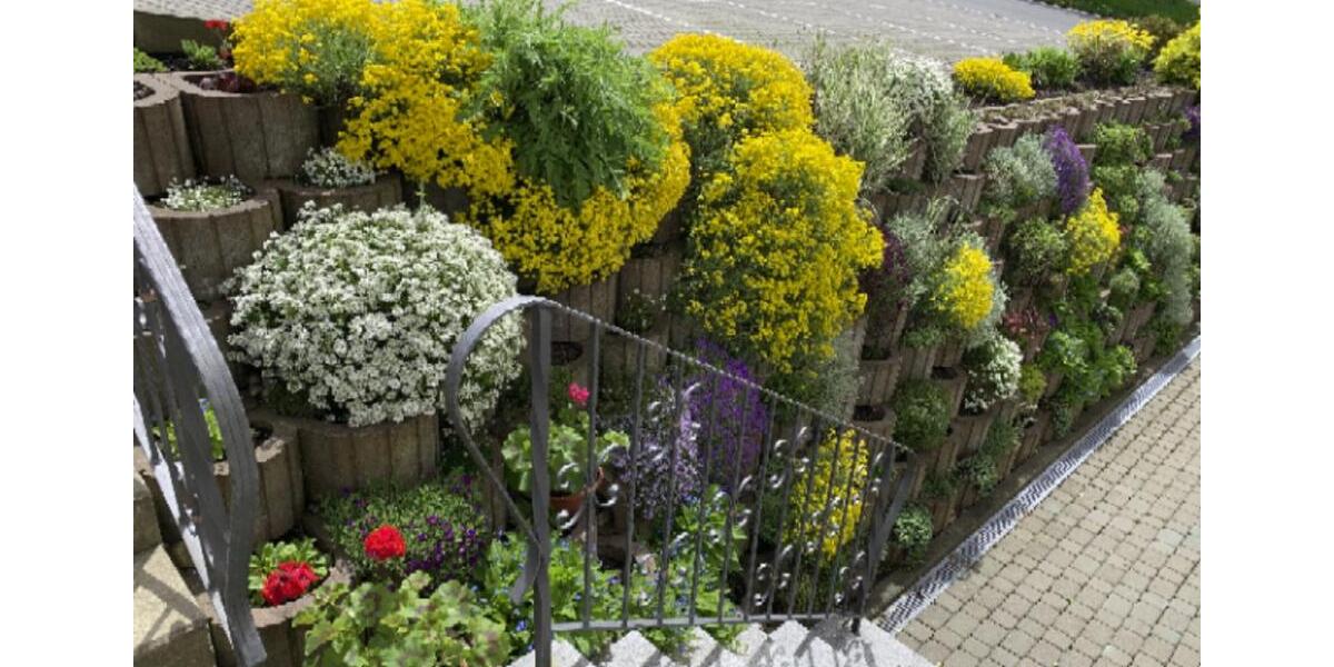 Dachgeschoßwohnung Pockau-Lengefeld Lengefeld - 2 Zimmer, 84 m&sup2;, 461&euro; | Angebot:24380402