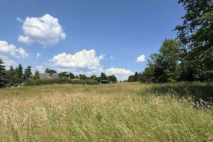 Grundstück Brand-Erbisdorf / Langenau Langenau - 79.000&euro; | Angebot:21797147