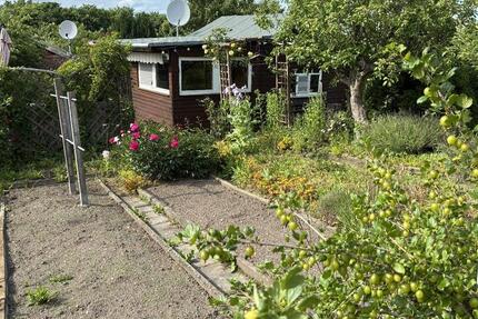 Grundstück Chemnitz Ebersdorf - 300&euro; | Angebot:25999166