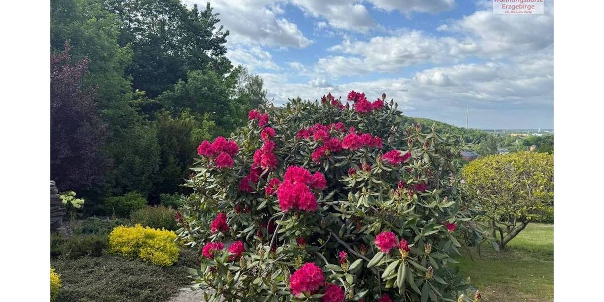 Grundstück Chemnitz / Harthau Altchemnitz - 59.000&euro; | Angebot:25688300