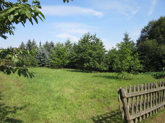 Grundstück mit traumhaft ruhiger Lage für Ihr Traumhaus – bauträgerfrei ! - Grundstück Erlau Beerwalde | Angebot:23439471