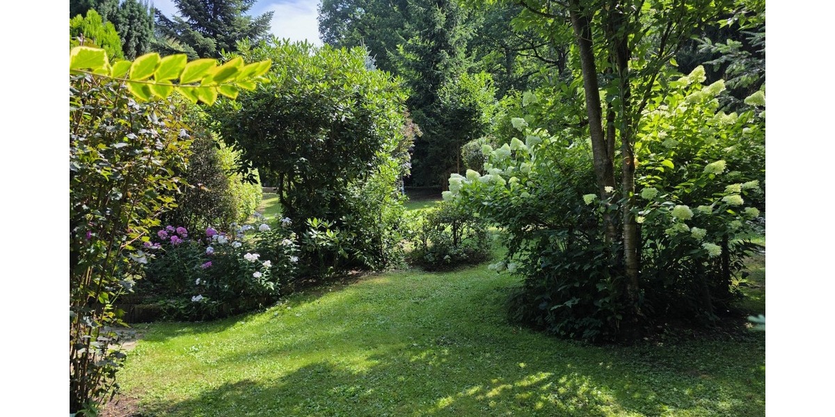 Seltenheit - Ferienhaus in traumhafter Lage – Erholung nur wenige Meter von der Talsperre - Ferienhaus Mittweida | Angebot:27261120