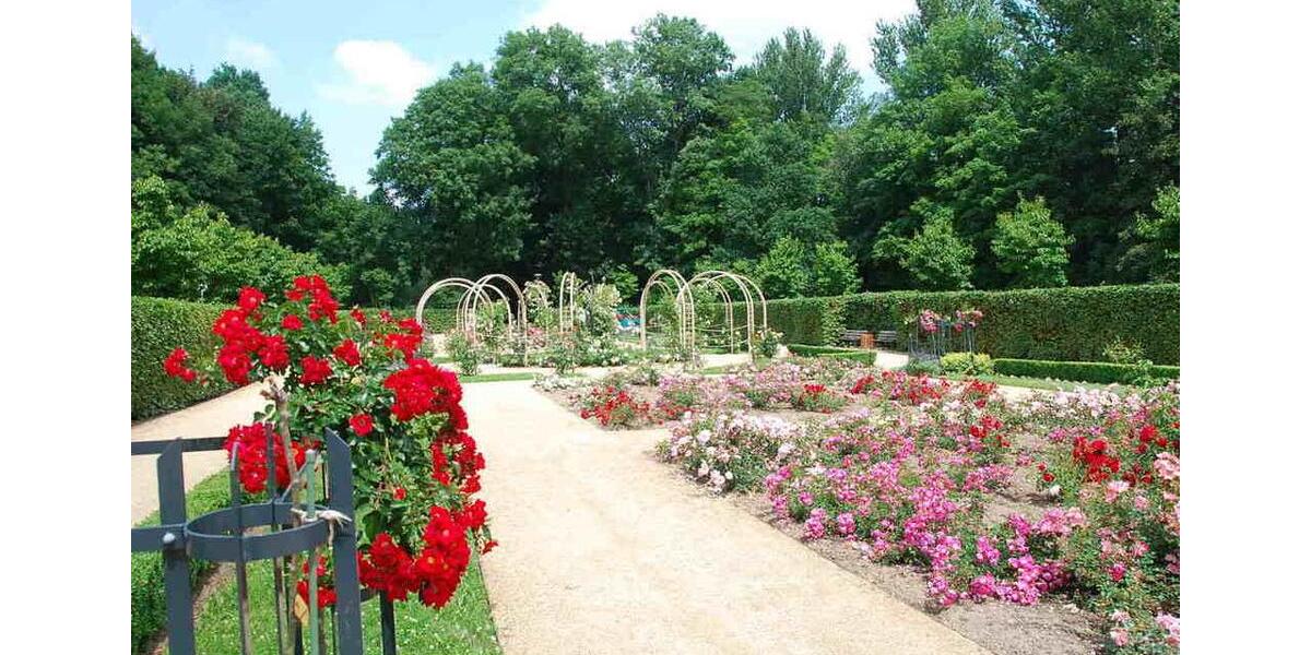 Etagenwohnung Chemnitz Helbersdorf - 2 Zimmer, 44 m&sup2;, 267&euro; | Angebot:26328213