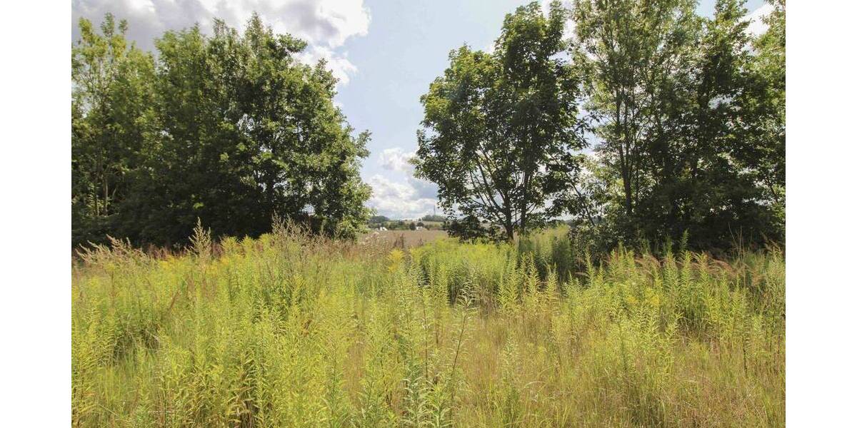 Grundstück Chemnitz Yorckgebiet - 222.000&euro; | Angebot:26093955