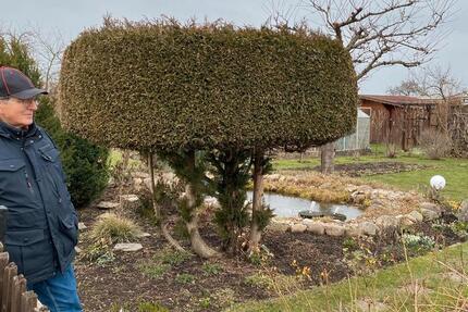 Grundstück Chemnitz Hilbersdorf - 850&euro; | Angebot:25939054