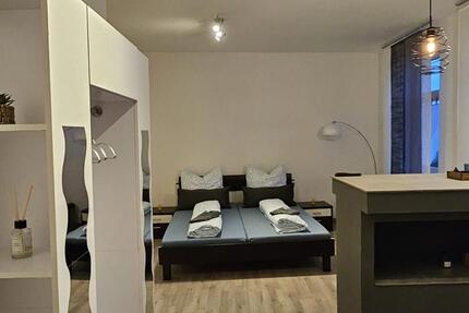 Bezugsfertige,sanierte Wohnung mit Einnahmen–Hohenstein-Ernstthal 1 zimmer