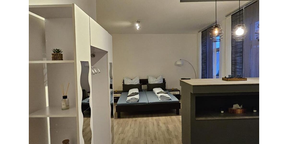 Bezugsfertige,sanierte Wohnung mit Einnahmen–Hohenstein-Ernstthal 1 zimmer