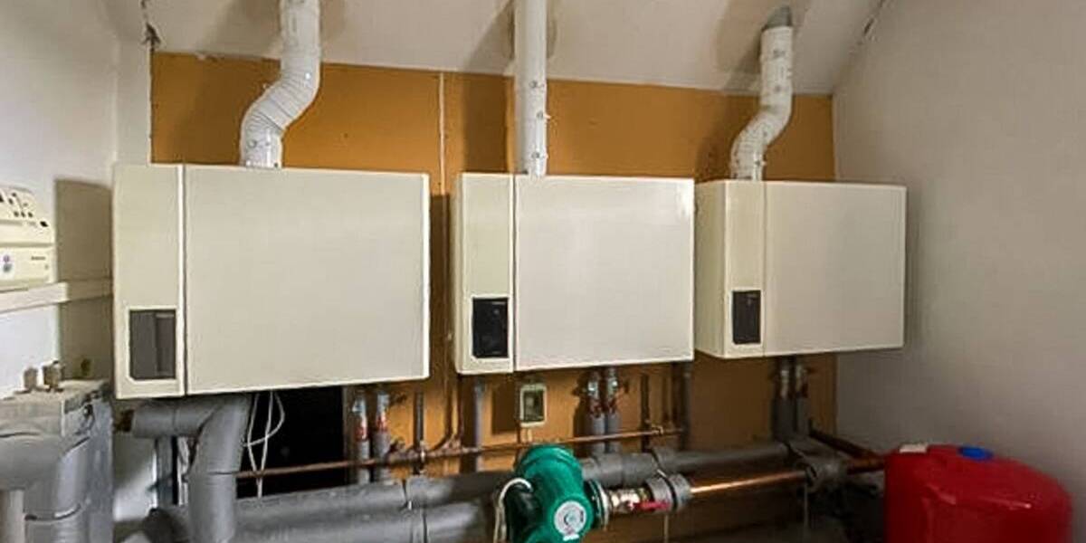 Gewerbeobjekt Zschopau - 3 Zimmer, 382 m&sup2;, 2.500&euro; | Angebot:25688262