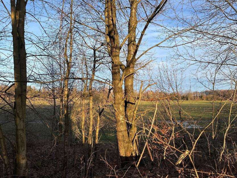 Grundstück zu verkaufen in Brand-Erbisdorf 89.000 € 2261 m²