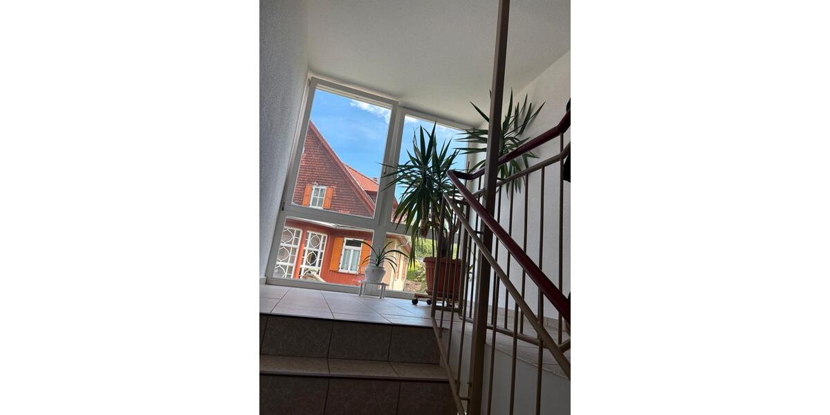 Etagenwohnung Chemnitz Adelsberg - 1 Zimmer, 41 m&sup2;, 375&euro; | Angebot:26704626