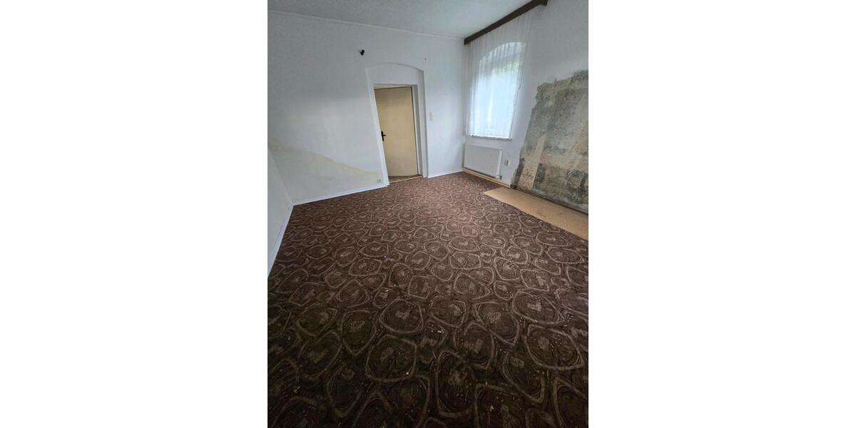 Einfamilienhaus mit grossem Grundstück, Nebengelass 7 zimmer