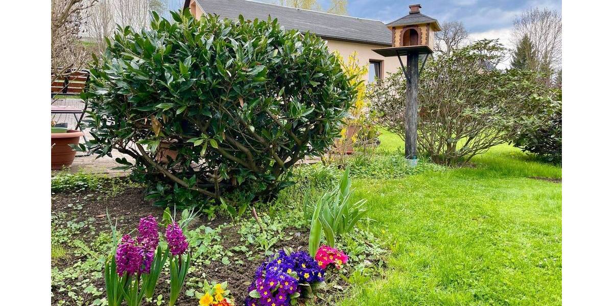 Mehrfamilienhaus, Wohnhaus Oederan Breitenau - 8 Zimmer, 220 m&sup2;, 375.000&euro; | Angebot:25732527