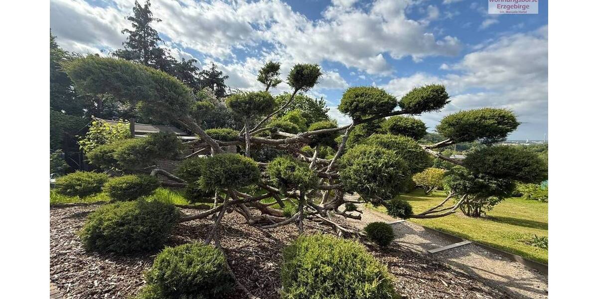 Grundstück Chemnitz / Harthau Altchemnitz - 59.000&euro; | Angebot:25688300