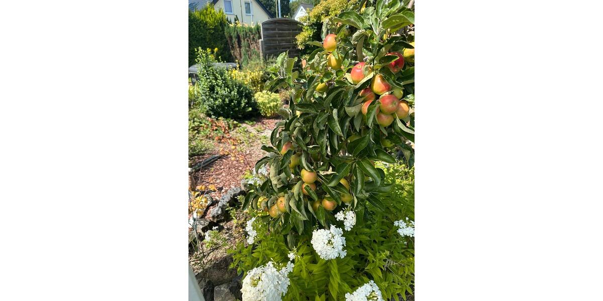 Grundstück Chemnitz Rabenstein - 2.800&euro; | Angebot:22071559