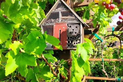 Grundstück Chemnitz Adelsberg - 2.300&euro; | Angebot:25841683