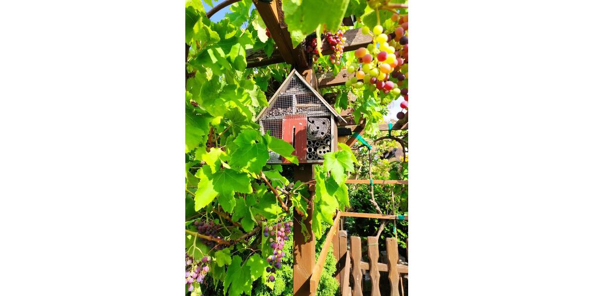 Grundstück Chemnitz Adelsberg - 2.300&euro; | Angebot:25841683