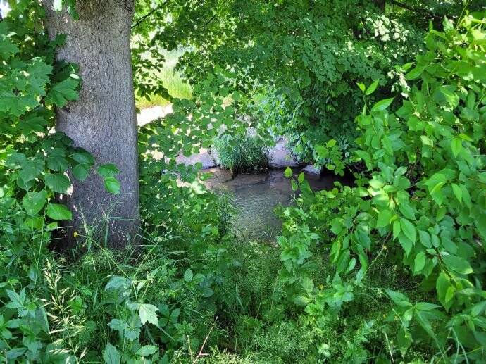 Grundstück Hainichen Cunnersdorf - 79.866&euro; | Angebot:25690271