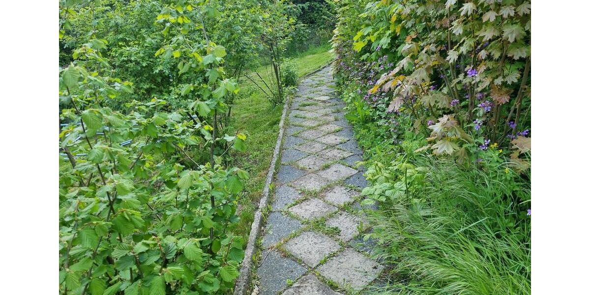 Grundstück Grünhainichen - 5.000&euro; | Angebot:26607159