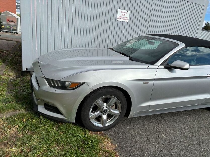 Mustang
