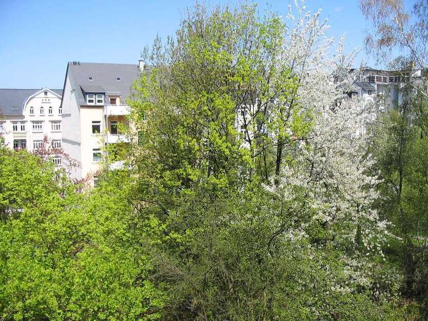 Wohnung zum Mieten in Chemnitz 740 € 104.63 m²