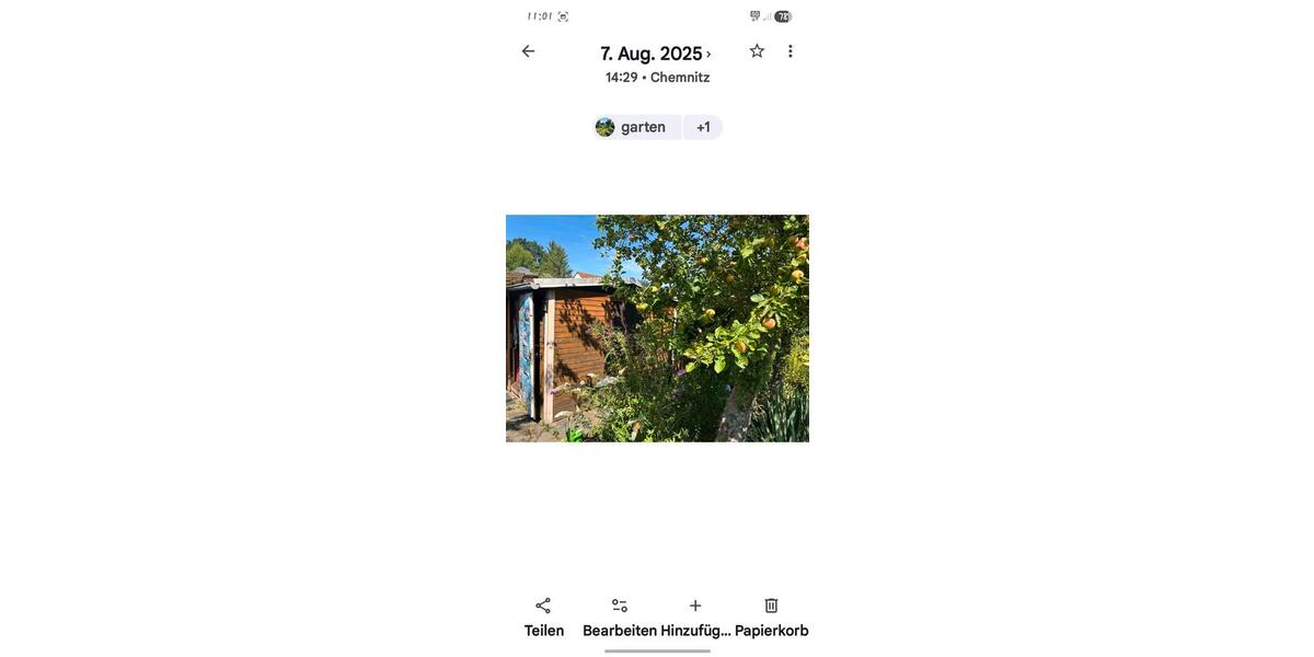 Grundstück Chemnitz - 350&euro; | Angebot:26611172