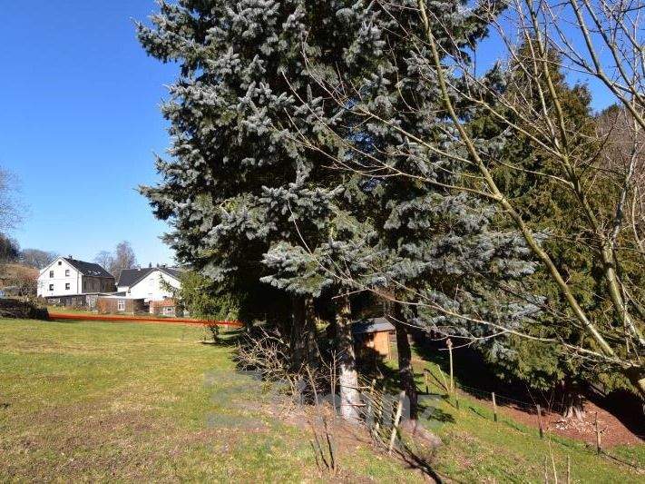 Grundstück Krumhermersdorf Krumhermersdorf - 49.500&euro; | Angebot:25705564