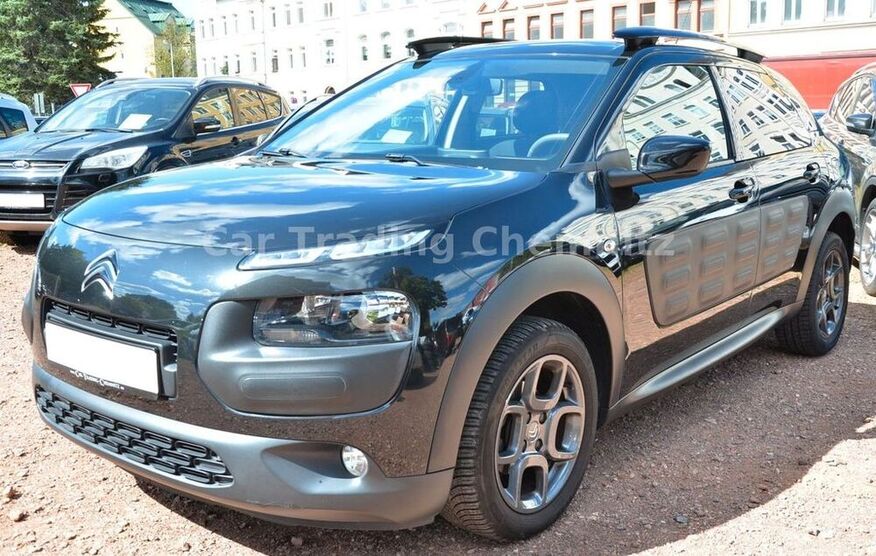 C4 Cactus