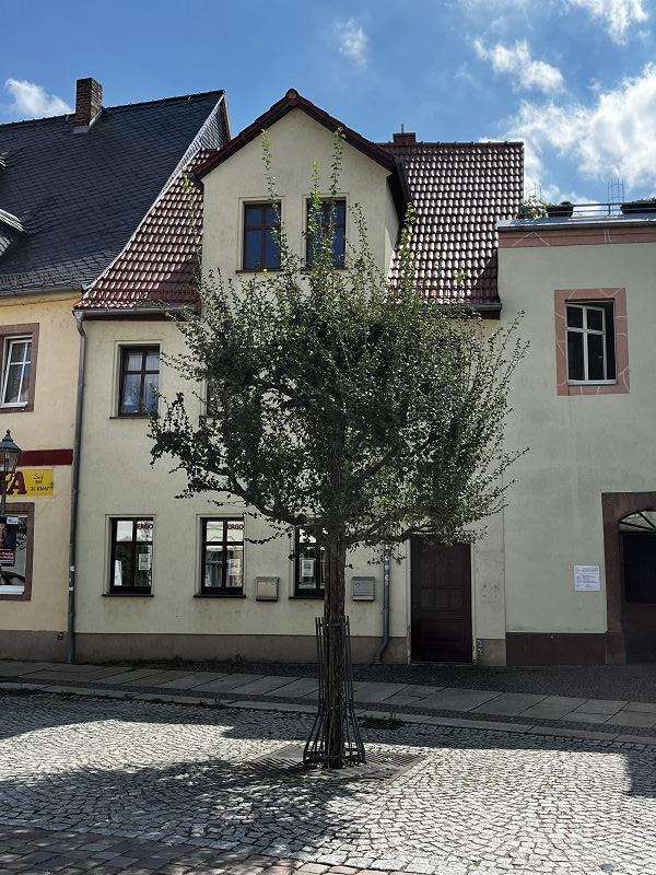 Haus zum Kaufen in Penig 39.000 € 54 m²