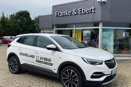 Opel Grandland (X) 35.000 km 23.990 &euro; Reinsdorf 08141