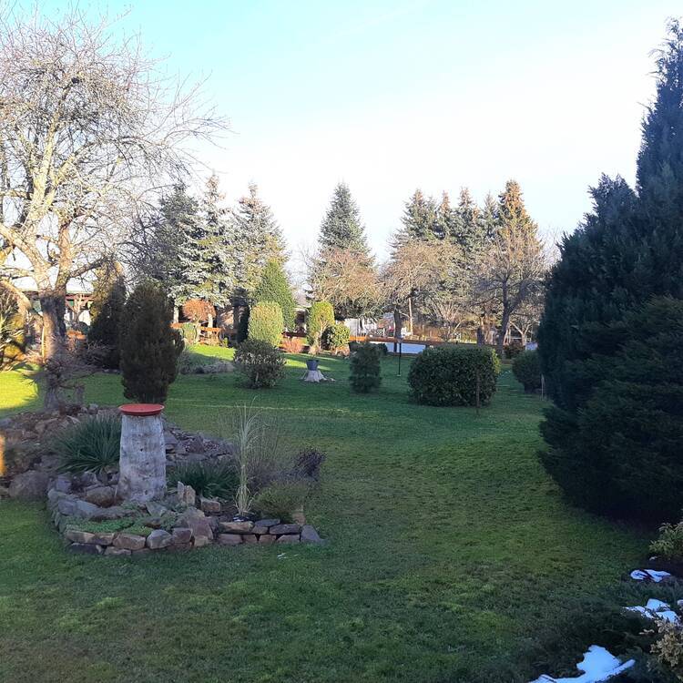 EFH mit wunderschönem Garten