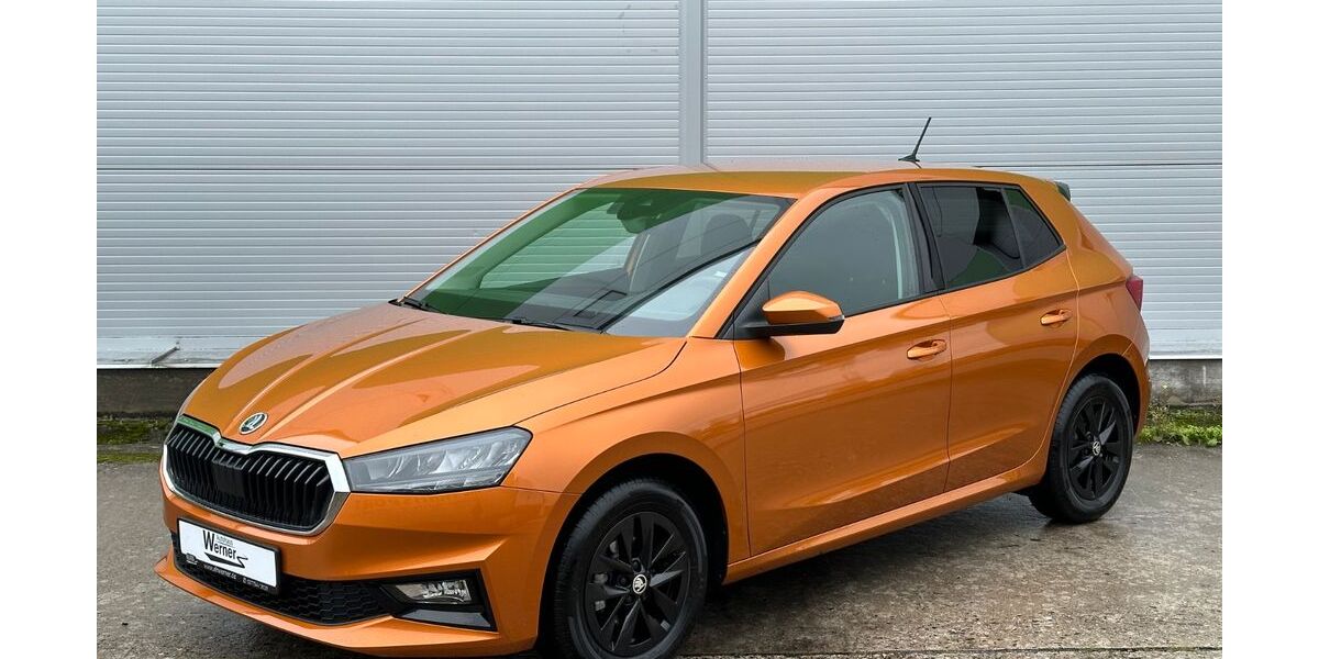 Skoda Fabia 11.063 km 21.780 &euro; Zwönitz / OT Dorfchemnitz 08297