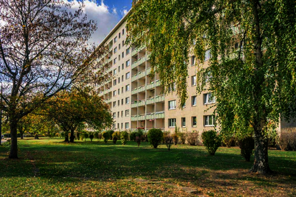 Wohnung Chemnitz Schloßchemnitz - 2 Zimmer, 45 m&sup2;, 295&euro; | Angebot:26838425