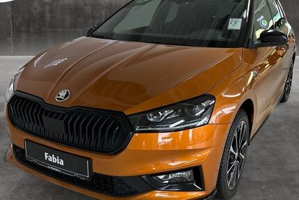 Skoda Fabia 17.000 km 22.450 &euro; Chemnitz 09116