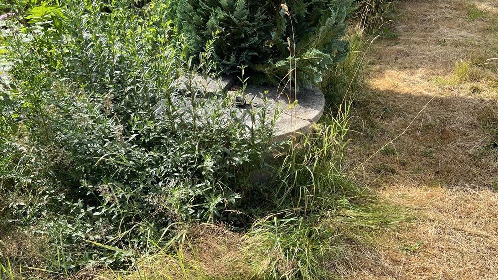 Grundstück mit Bau-Vorbescheid für ein EFH bei Mittweida - Grundstück Mittweida | Angebot:12966586