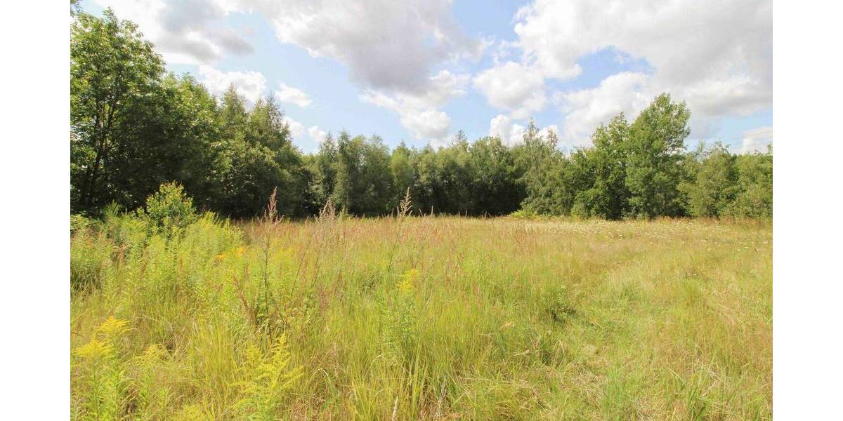 Grundstück Chemnitz Yorckgebiet - 222.000&euro; | Angebot:26093955