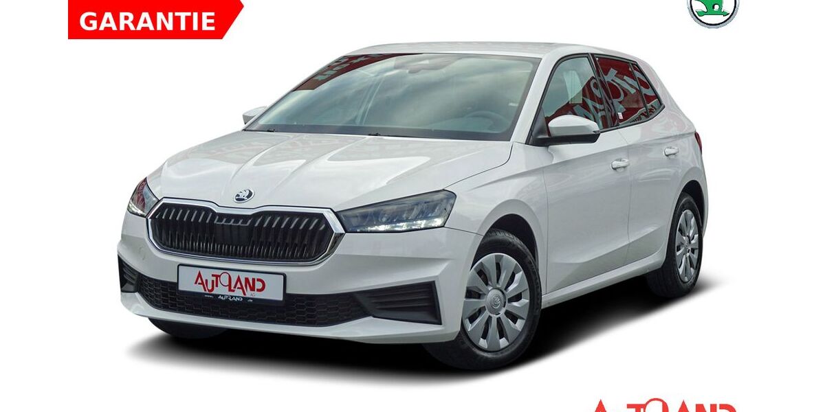 Skoda Fabia 45.371 km 16.950 &euro; Chemnitz 09113