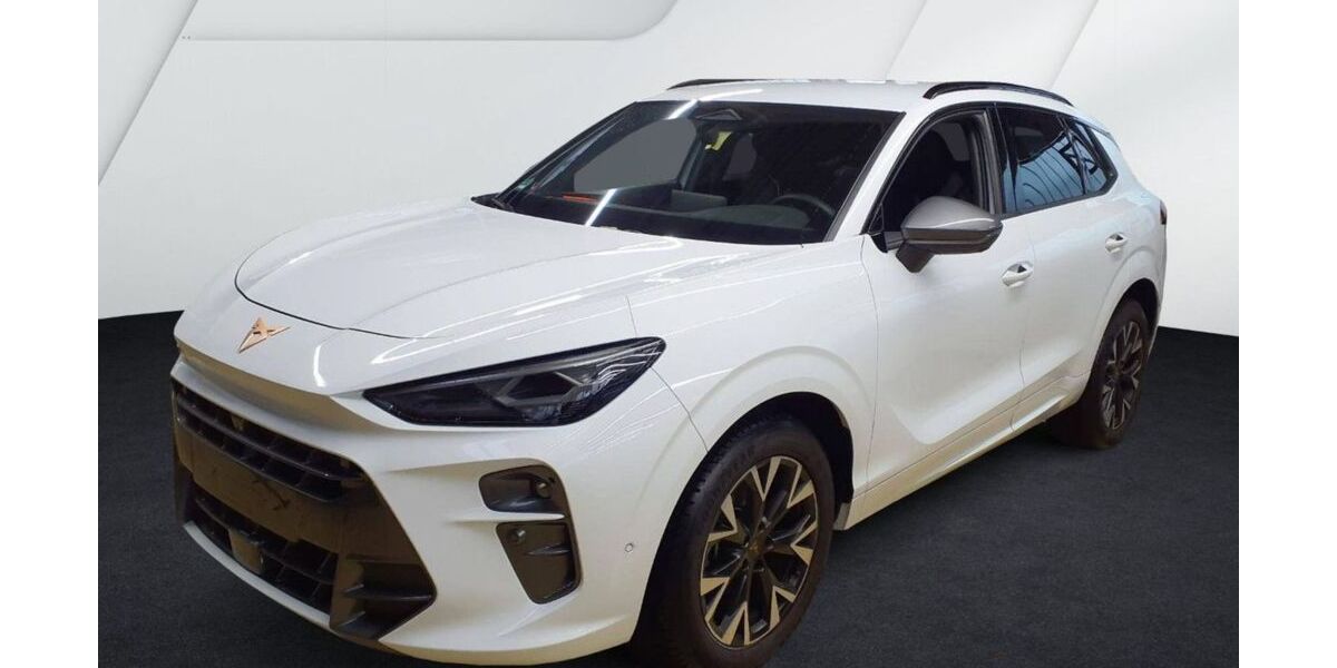 Cupra Terramar 22.641 km 31.900 &euro; Annaberg-Buchholz 09456