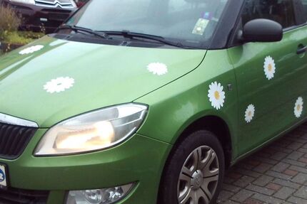 Skoda Fabia 248.108 km 3.199 € Chemnitz 09114