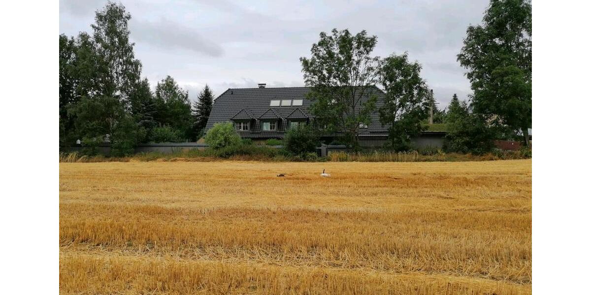 Dachgeschoßwohnung Chemnitz Adelsberg - 2 Zimmer, 80 m&sup2;, 600&euro; | Angebot:26656208