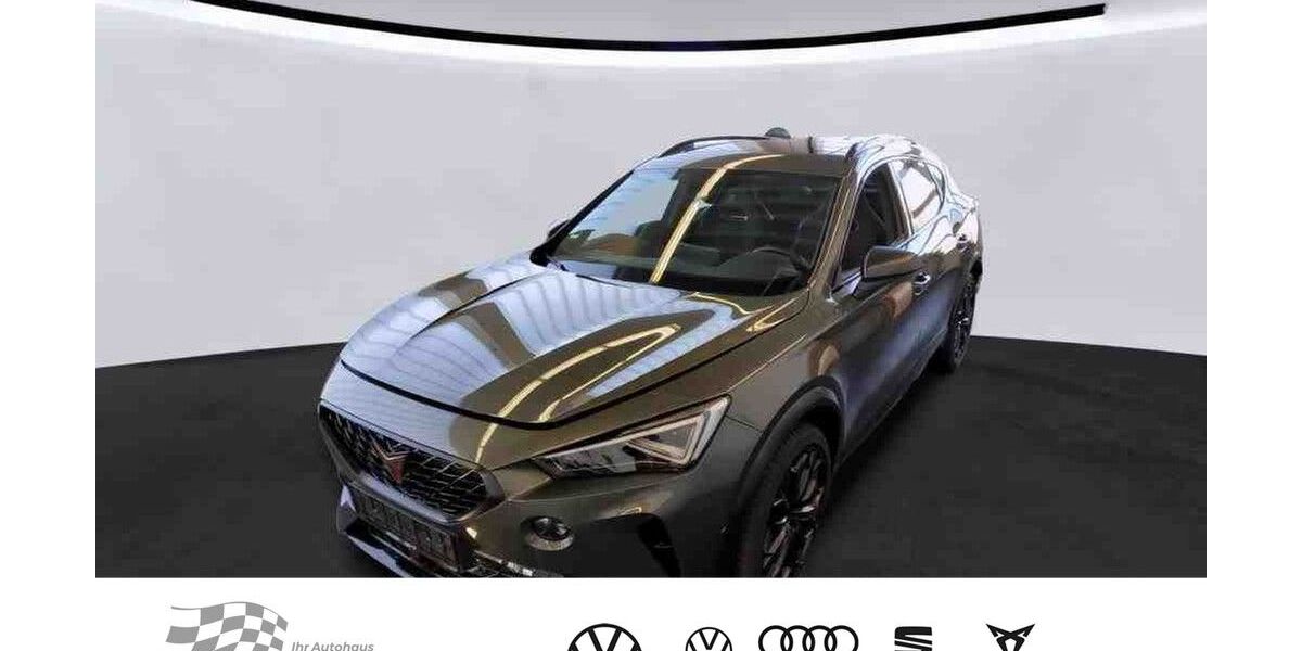 Cupra Formentor 52.545 km 32.975 &euro; Bernsdorf 09337