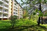Etagenwohnung Chemnitz Markersdorf - 2 Zimmer, 56 m&sup2;, 318&euro; | Angebot:25053100