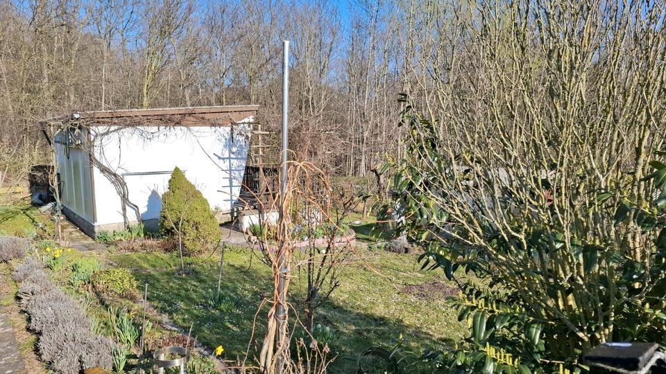 Grundstück Chemnitz Borna-Heinersdorf - 2.500&euro; | Angebot:26521849