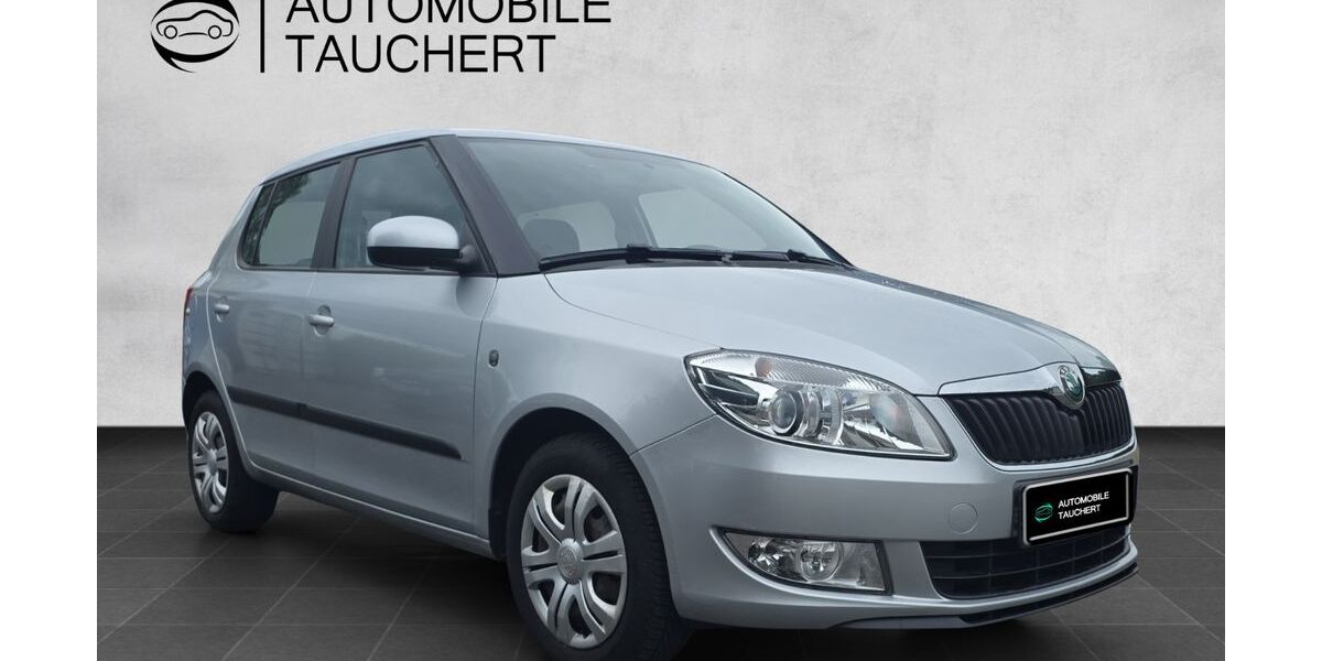 Skoda Fabia 111.000 km 7.490 &euro; Hainichen 09661
