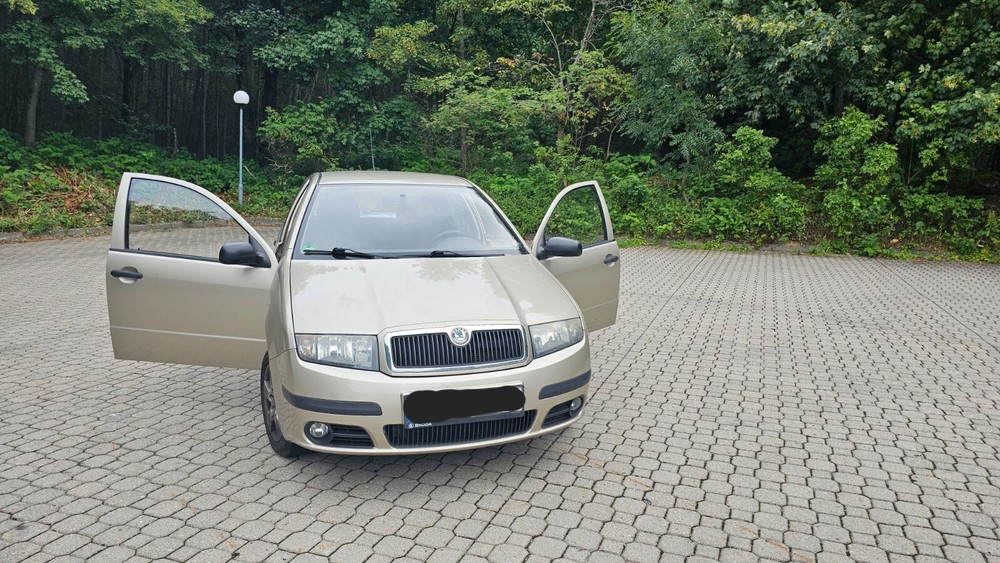 Skoda Fabia 132.000 km 6.000 &euro; Annaberg-Buchholz 09456