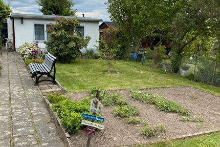 Garten abzugeben zimmer